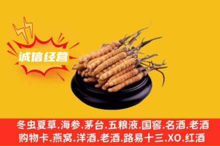 泰宁县回收冬虫夏草